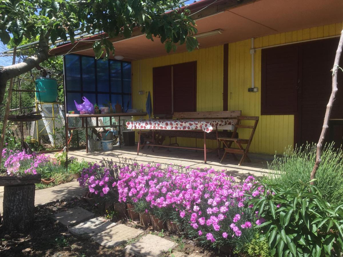 Бунгало- Bungalow Kavarna Luaran gambar